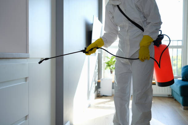 Reliable Byram, MS Mold Remediation Solutions